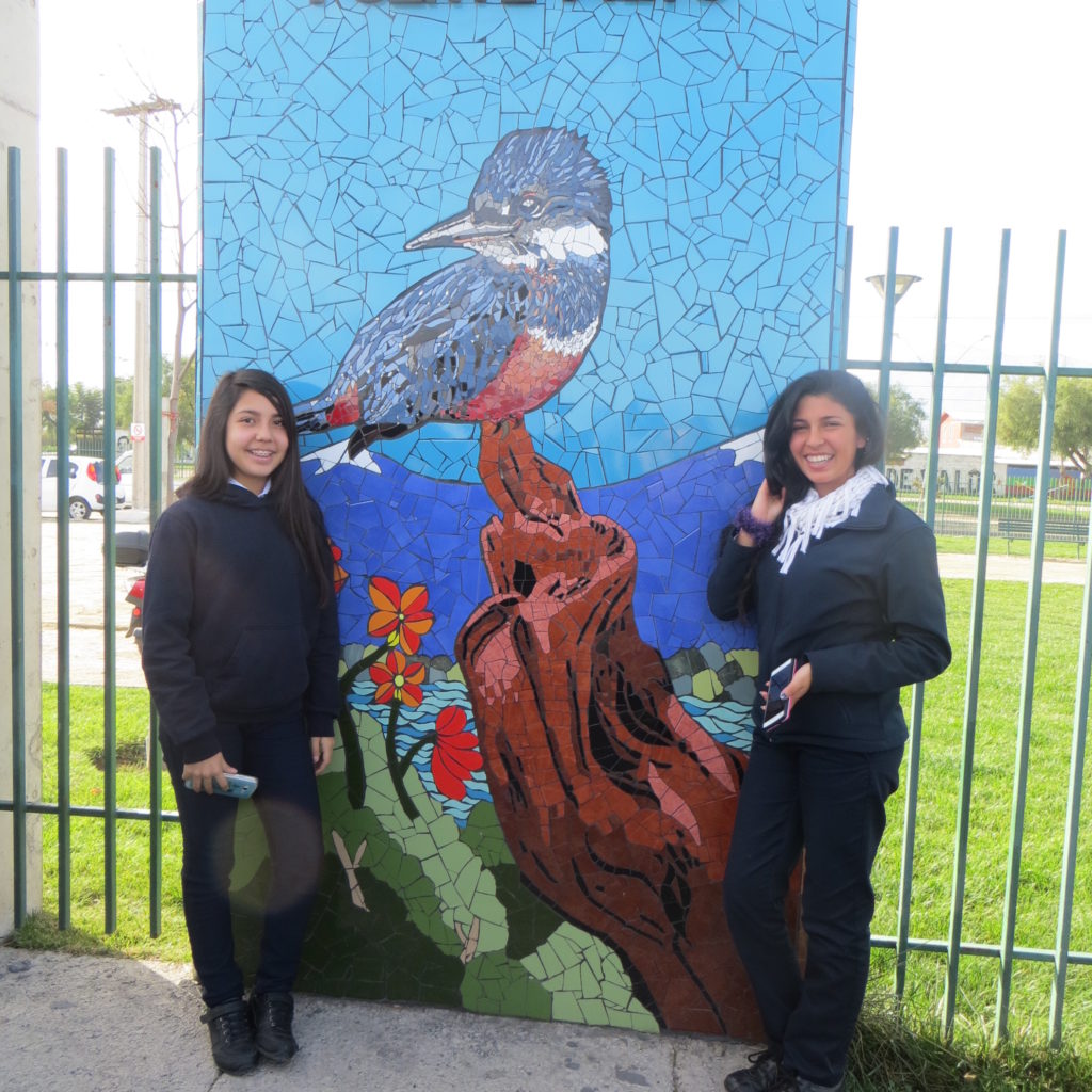 Visita a los mosaicos de Puente Alto