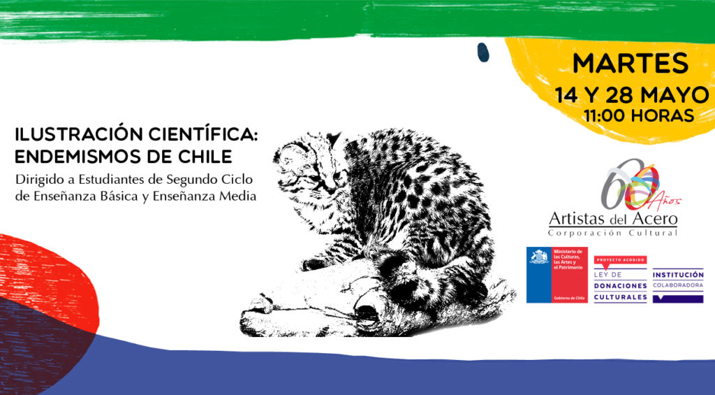 Ilustración Científica: Endemismos de Chile
