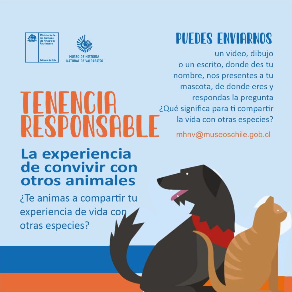 Mediación en Cuarentena, Tenencia responsable de mascotas.