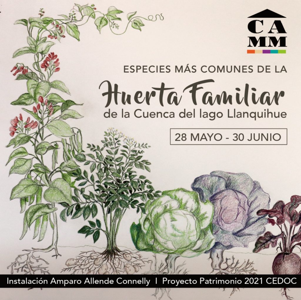Exposición Huerta Familiar, lago Llanquihue