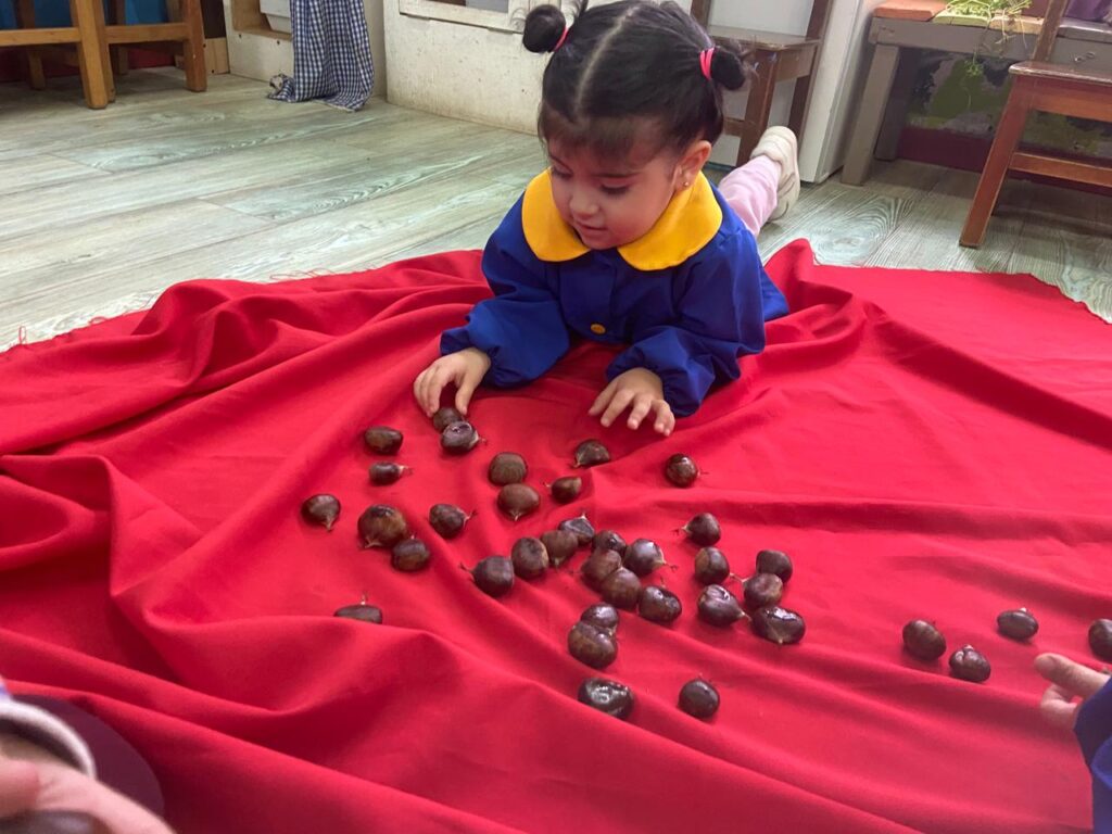 Frutos de otoño, parte de mi identidad