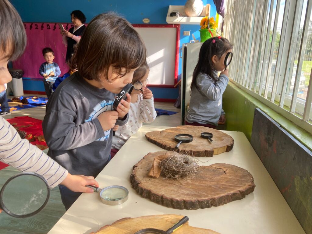 Experiencia «el arte de la Naturaleza»