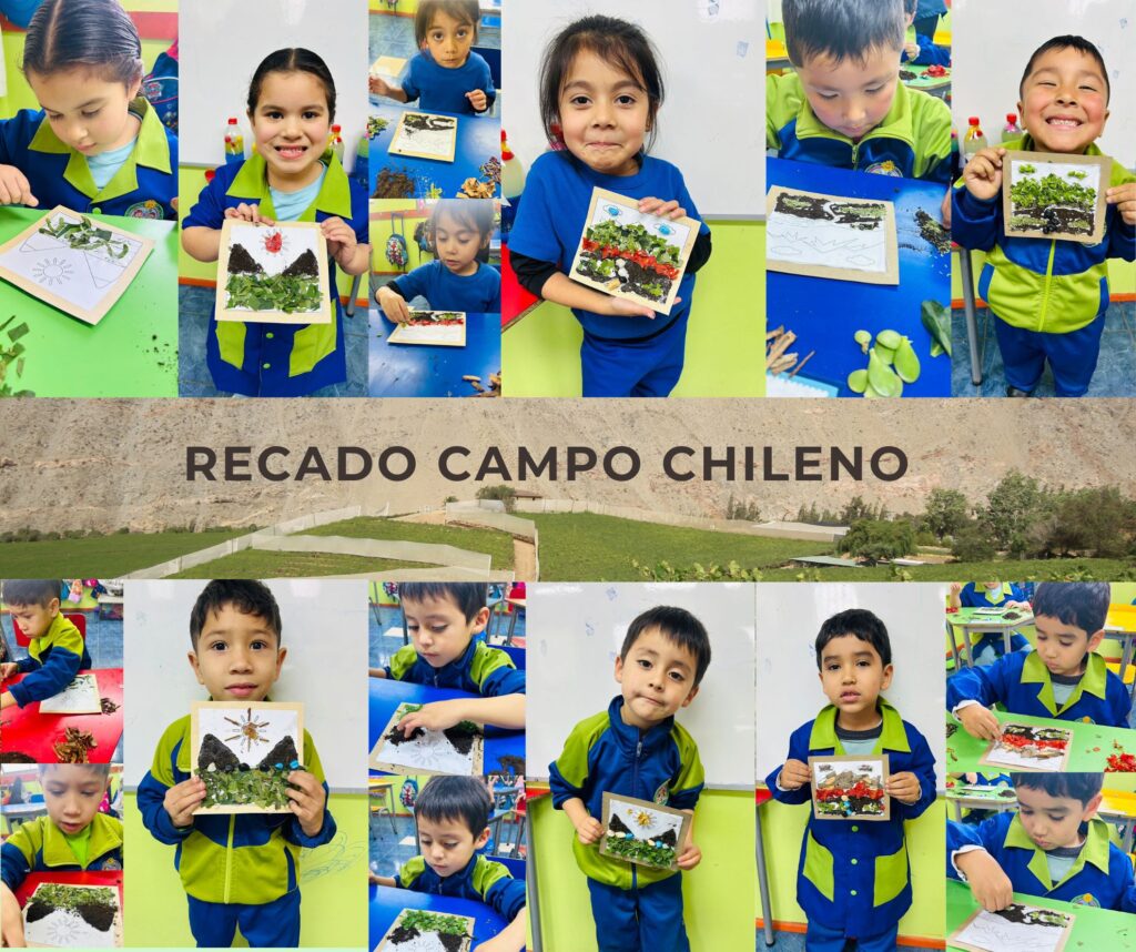 Crear recados colectivos: Recado Campo Chileno