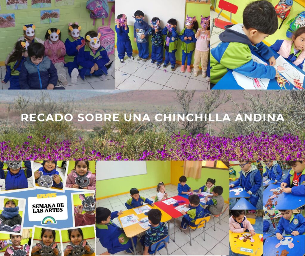 Crear recados colectivos: Recado sobre la chinchilla andina