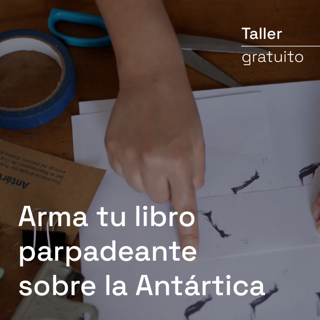 Taller «Arma tu libro parpadeante sobre la Antártica»