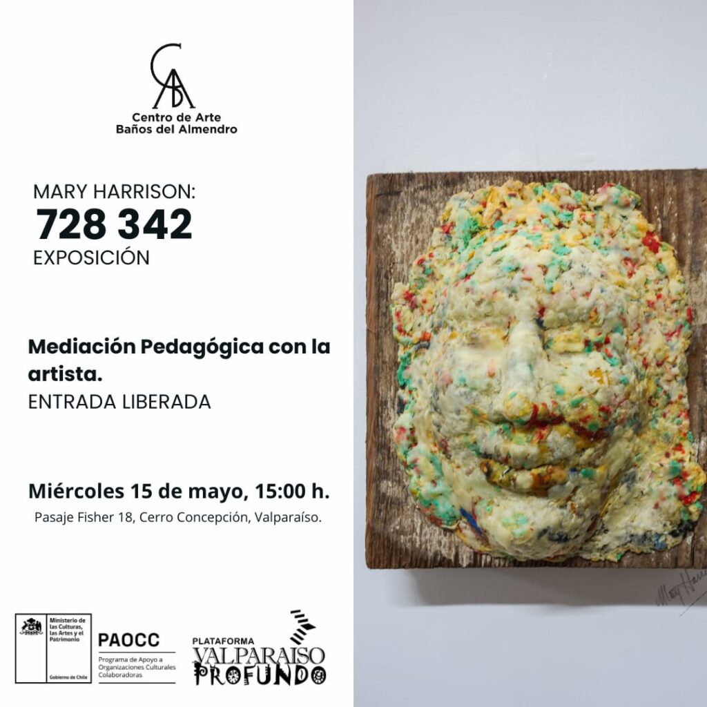 Mediación Pedagógica con Mary Harrison