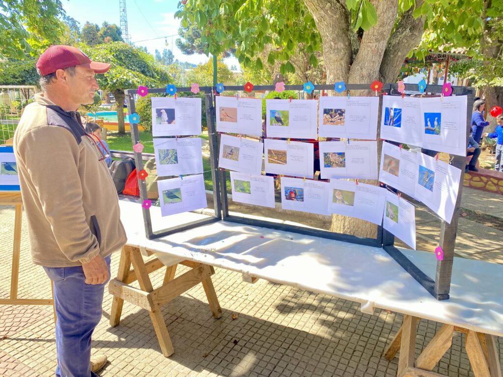 Divulgación de material fotográfico de aves y poesía.