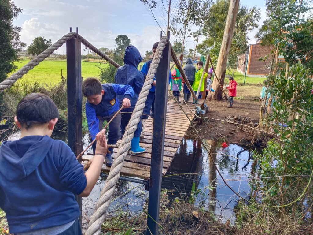 Aprendizaje basado en proyectos en Lliuco: nuestro parque artístico cultural y medioambiental