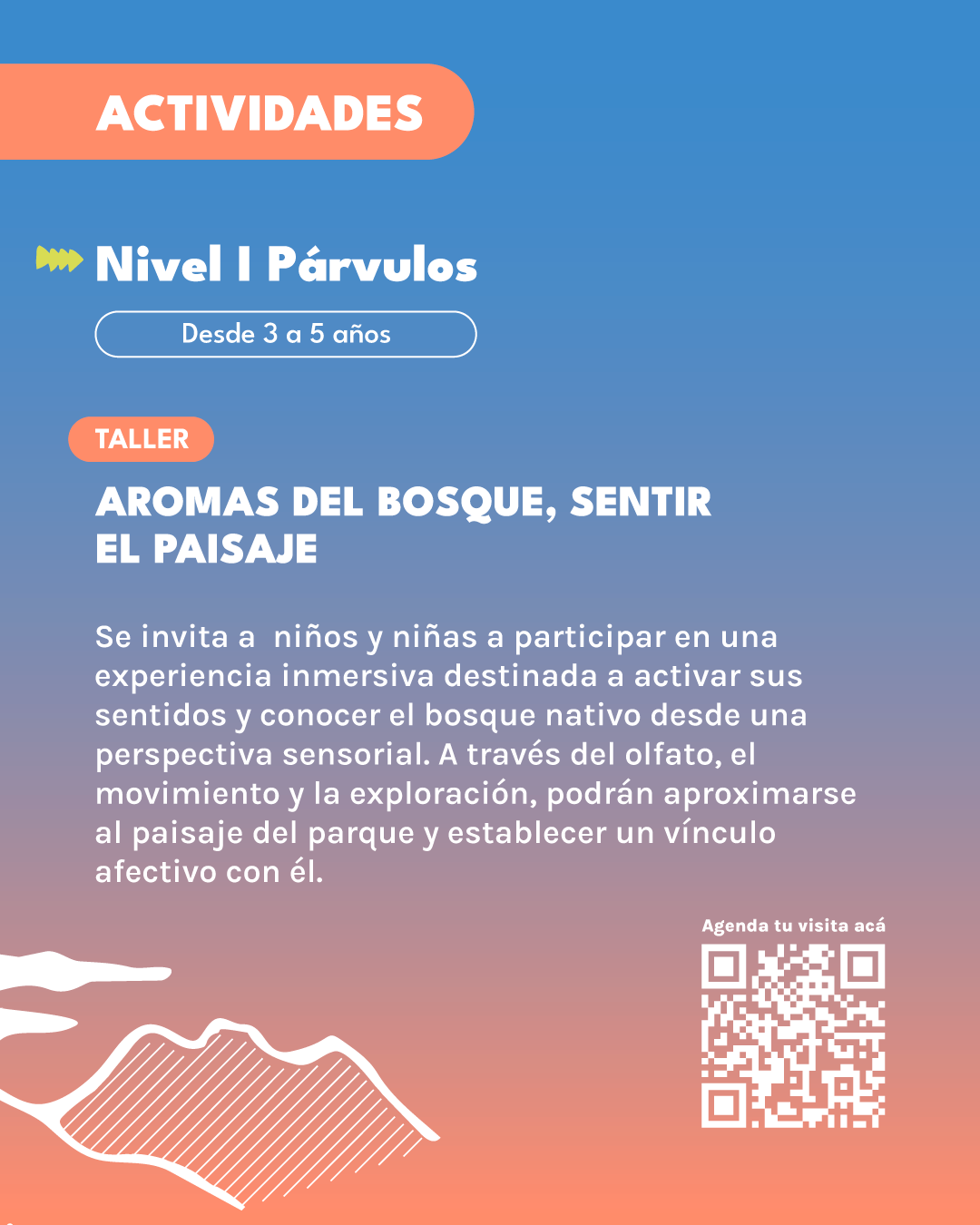 Talleres Paisajes Afectivos: sentir y habitar el Parque Potrerillos – Museo Artequin Vi&ntilde;a del Mar