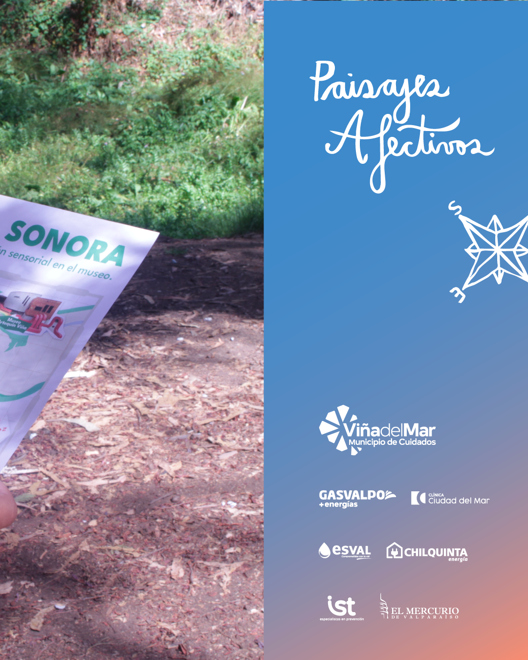 "Taller en patota: Ecos del Humedal, mapeo sonoro" en Museo Artequin Vi&ntilde;a del Mar