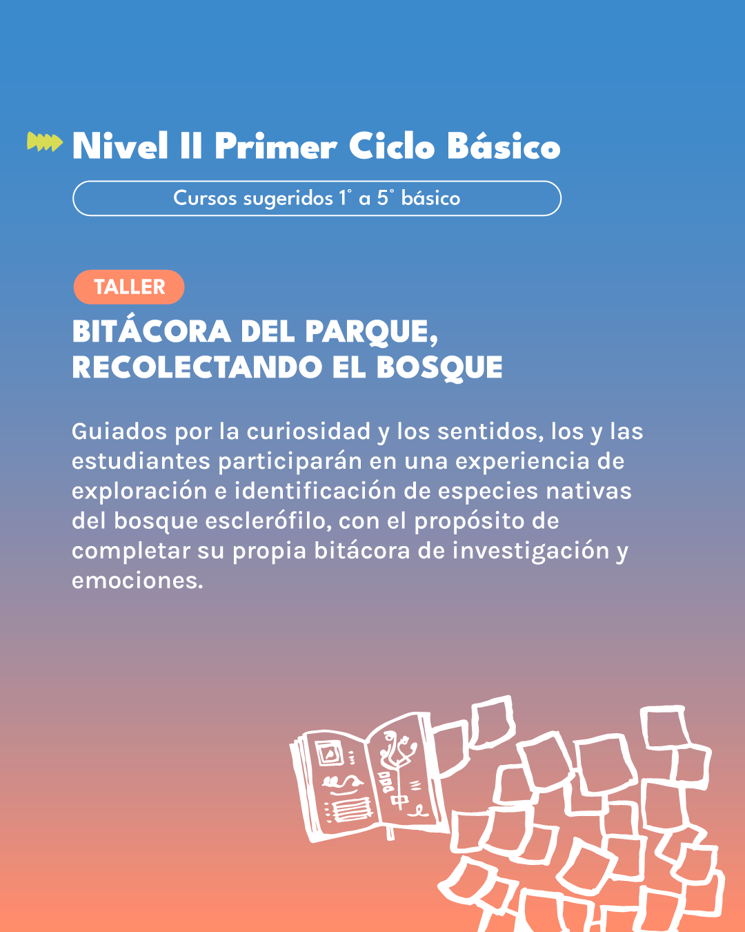Talleres Paisajes Afectivos: sentir y habitar el Parque Potrerillos – Museo Artequin Vi&ntilde;a del Mar