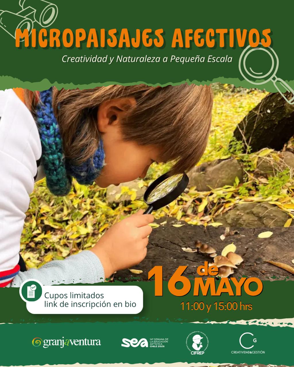 Micropaisajes Afectivos