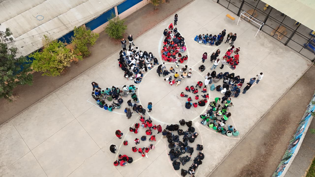 flor gigante en mi comunidad